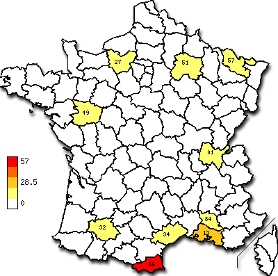 essaimages 2006